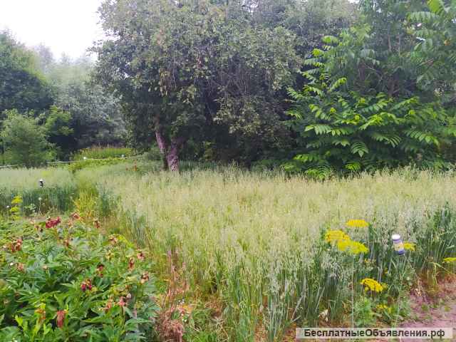 Дачу 25 кв.м, Шумерлинский р-н, поселок Саланчик.