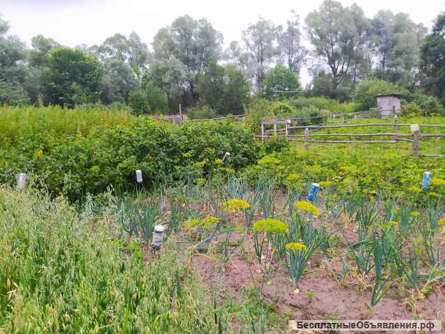 Дачу 25 кв.м, Шумерлинский р-н, поселок Саланчик.