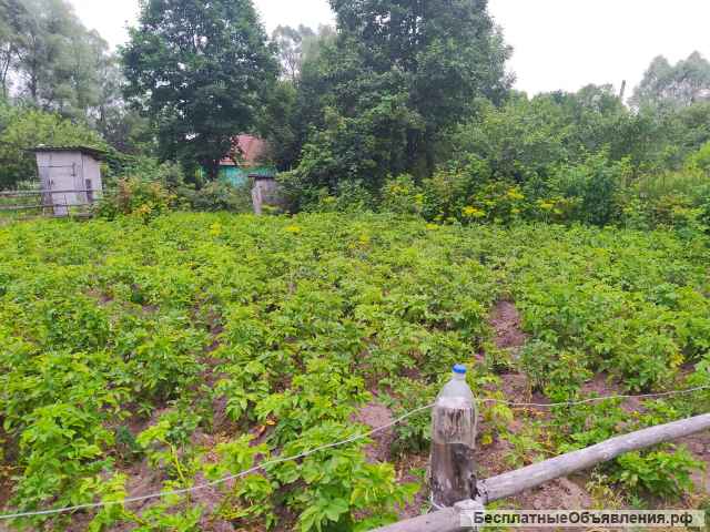 Дачу 25 кв.м, Шумерлинский р-н, поселок Саланчик.