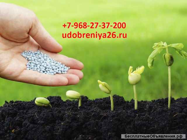 Кас Аммофос Диаммонийфосфат Сульфоаммофос Монокалийфосфат Моноаммонийфосфат