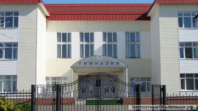 Учитель физики