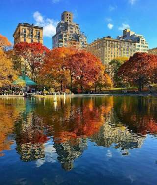 Репетитор по английскому языку