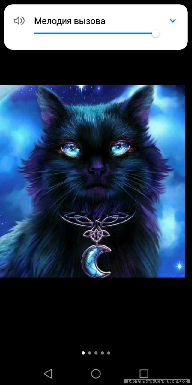 Выгул животных