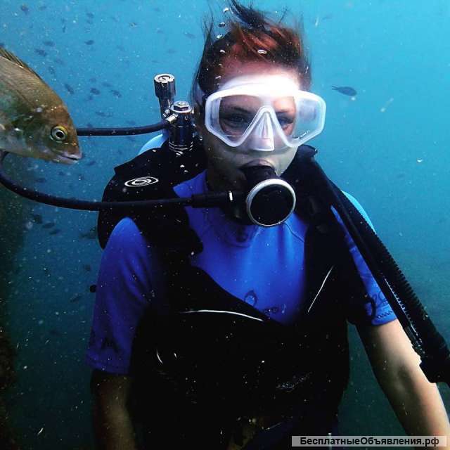 Дайвинг клуб «Нептун» предлагает лучший отдых на черноморском побережье – погружения с аквалангом в
