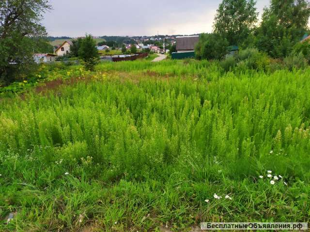 15 соток. Лпх. Пмж. Лес, река Москва рядом