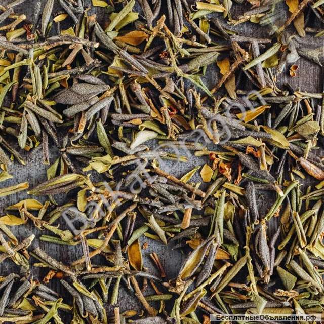 Саган дайля