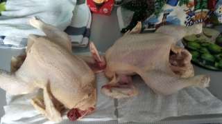 Мясо домашних уток и цвплят бройлеров