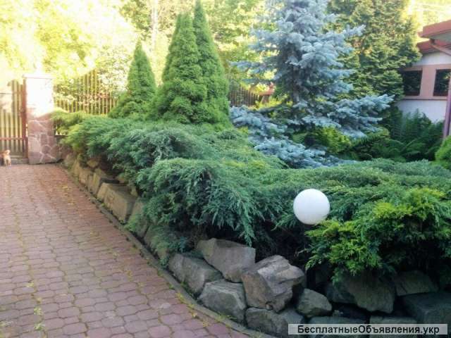 Дом в самом парке элитный р-н