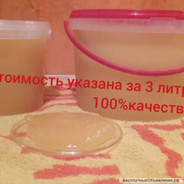 Натуральный мед из Тамбовской области