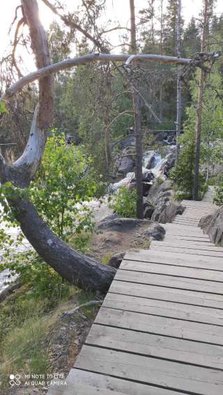 Сиделки и Администраторы