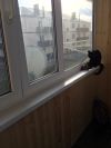 2-х комнатную квартиру