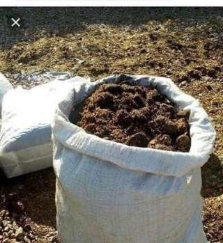 Навоз конский в мешках