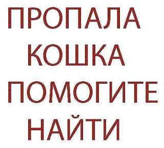 Ищу экстрасенса поисковика