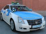 Прокат свадебных украшений для авто в Челябинске. Большой выбор