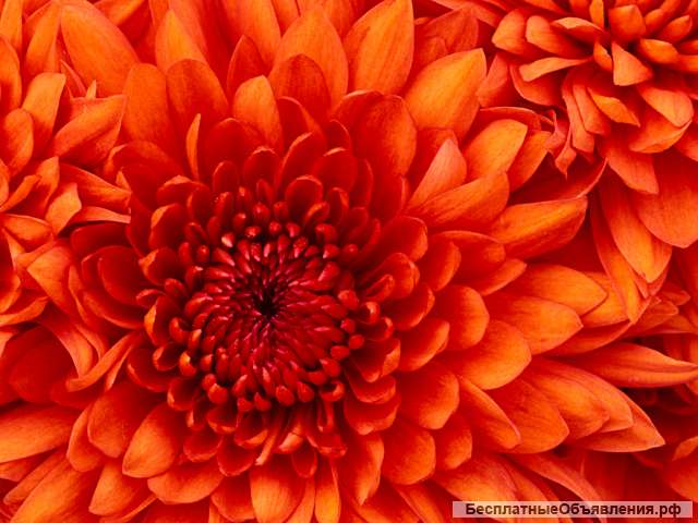 Повар кассир