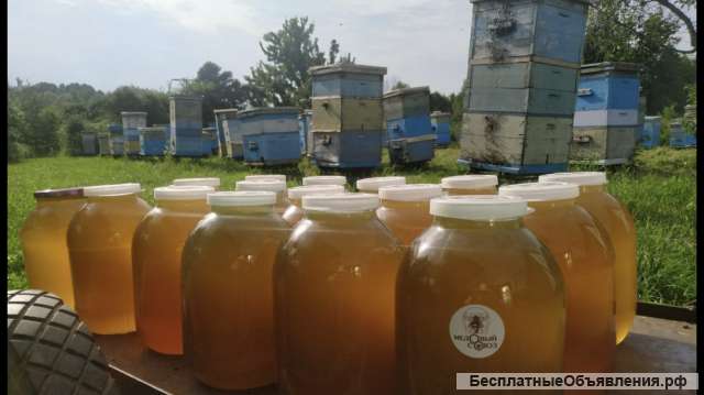 Мёд цветочный разнотравье