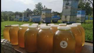 Мёд цветочный разнотравье