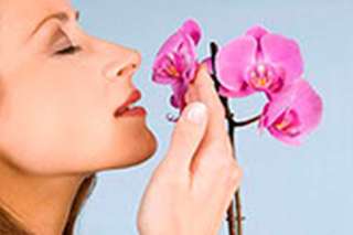 Удаление неприятных запахов и клопов на 100%