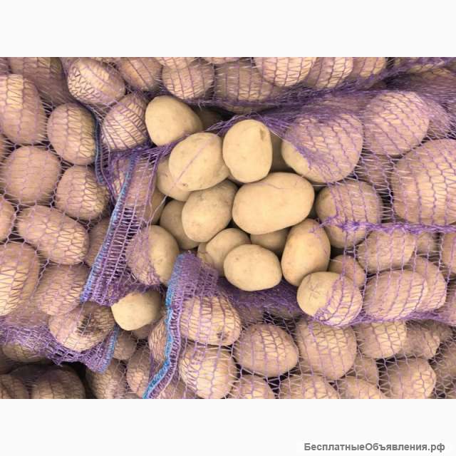 Картофель оптом из Краснодарского края