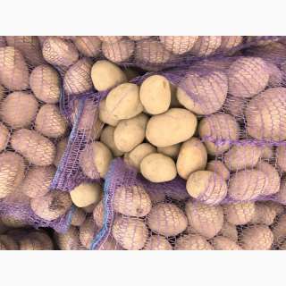 Картофель оптом из Краснодарского края