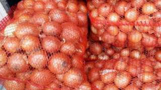 Лук оптом. Т-803, калибр (5+).