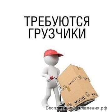 Грузчики