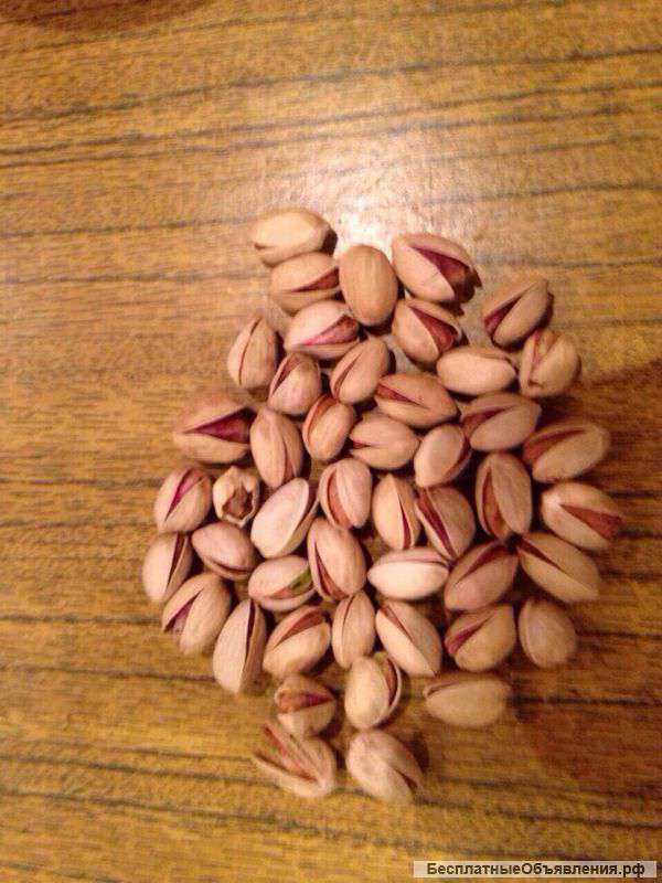 Фисташка оптом от прямого импортера из Ирана