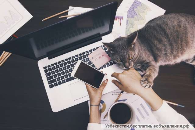 Менеджер-консультант