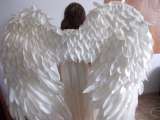 Самара. Белые крылья ангела в Самаре для красивой фотосесии или видеосъемки 2020.