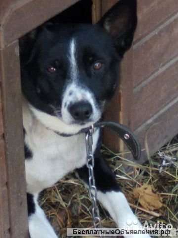 Приходится расставаться