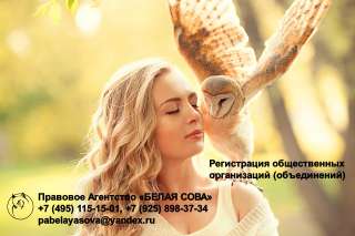 Регистрация общественных организаций (объединений)