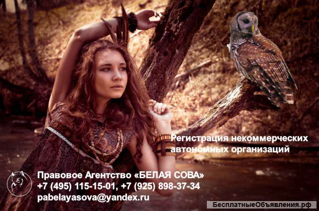 Регистрация некоммерческих автономных организаций