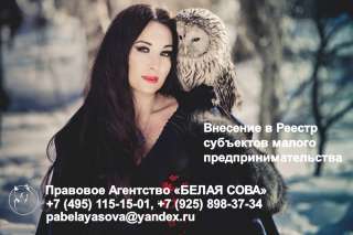 Внесение в Реестр субъектов малого и среднего предпринимательства