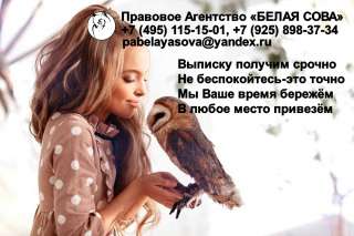 Выписка из ЕГРЮЛ