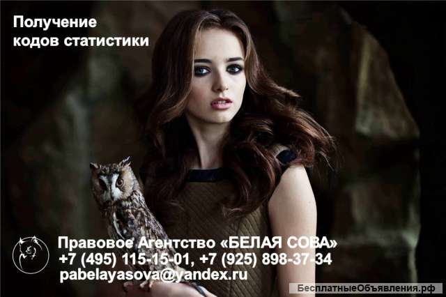 Получение кодов статистики