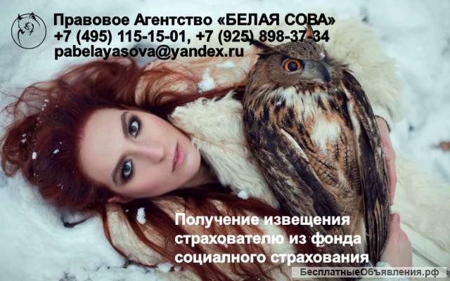 Получение извещения из ФСС