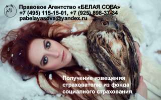 Получение извещения из ФСС