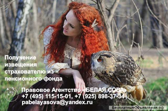 Получение извещения из ПФ