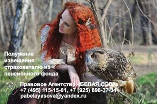 Получение извещения из ПФ