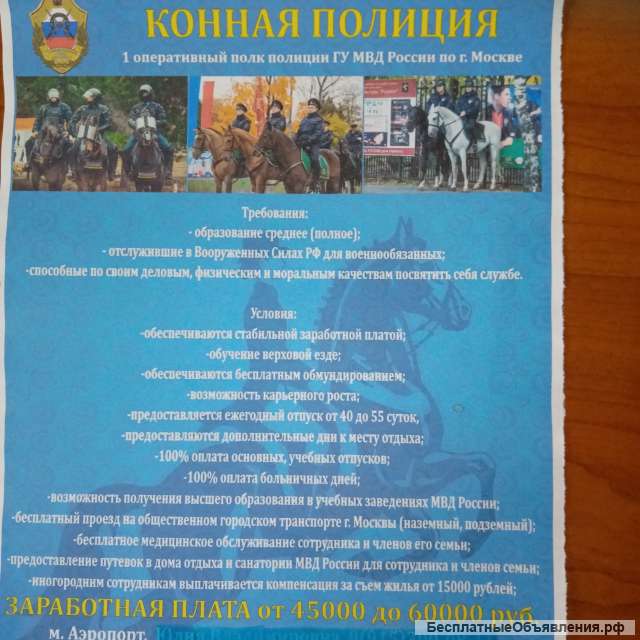 Полицейский кавалерист