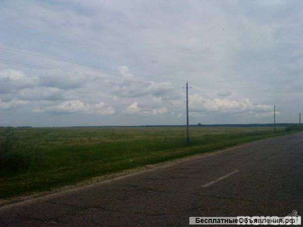 175 гектаров в М.О.