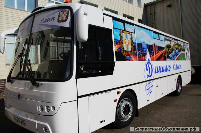 Водитель категории B, D