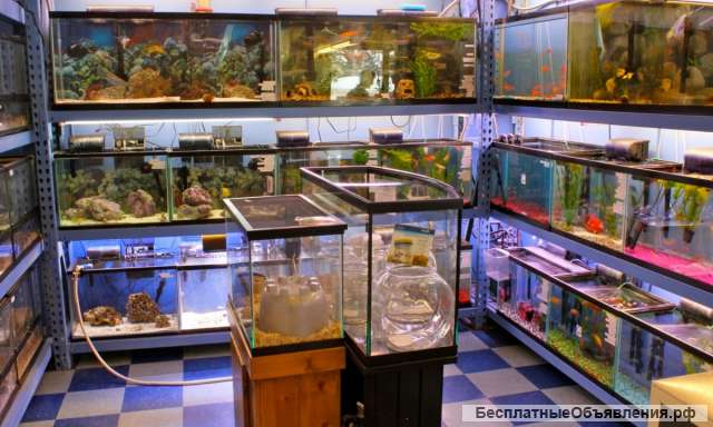 Требуется продавец-консультант