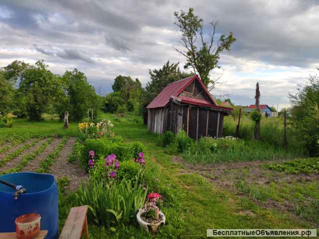 Жилой дом в Мишнево (камешковскмй р-он)-25км от Владимира. Газ, свет, вода +37 соток