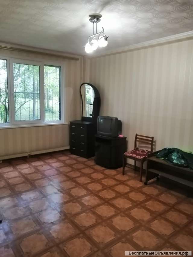 Сдам 1 к.кв. в Наро-фоминске по ул. Профсоюзная