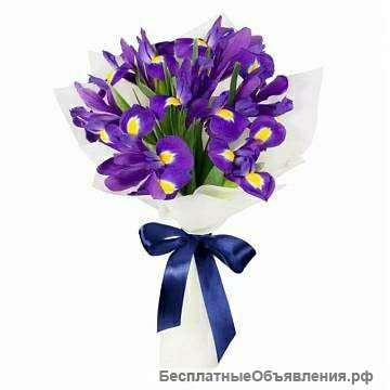Букет из 11 ирисов