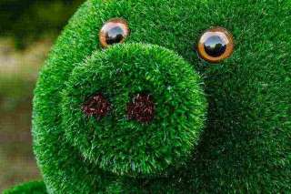 Топиар фигуры от производителя, доставка по всему миру