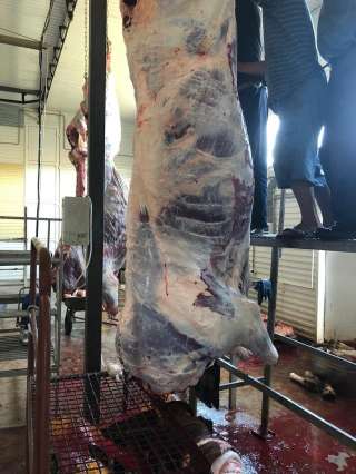 Мясо говядины 1, 2 категории и блочное мясо говядины оптом от производителя