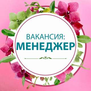 Менеджер-администратор