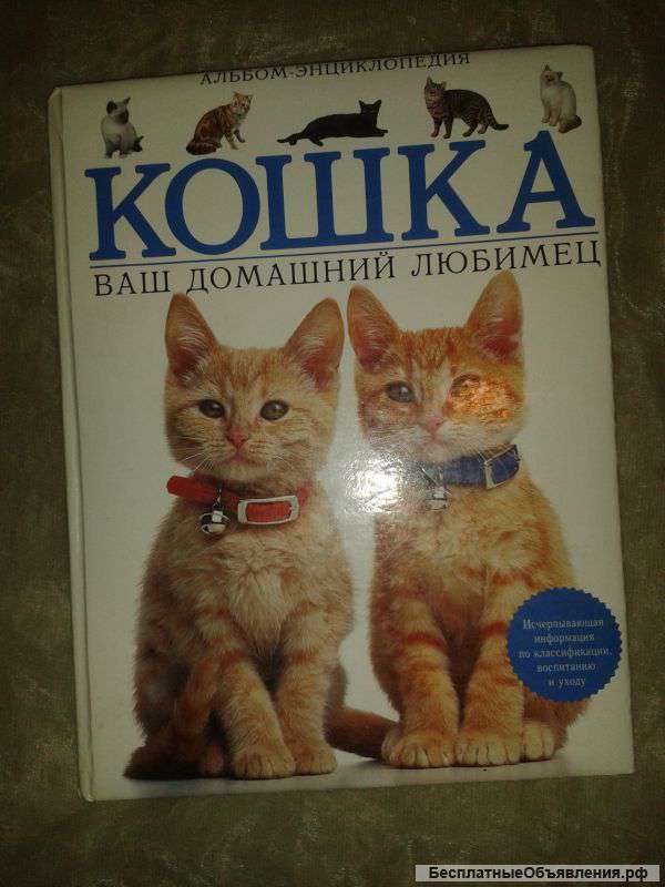 Энциклопедия